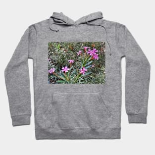 Photography Flower - Natural Flowers - Photography Background Hoodie